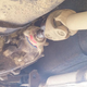 Illustration for article titled Ive Only Got A Month Before Moab And My Jeep Is Still In Shambles